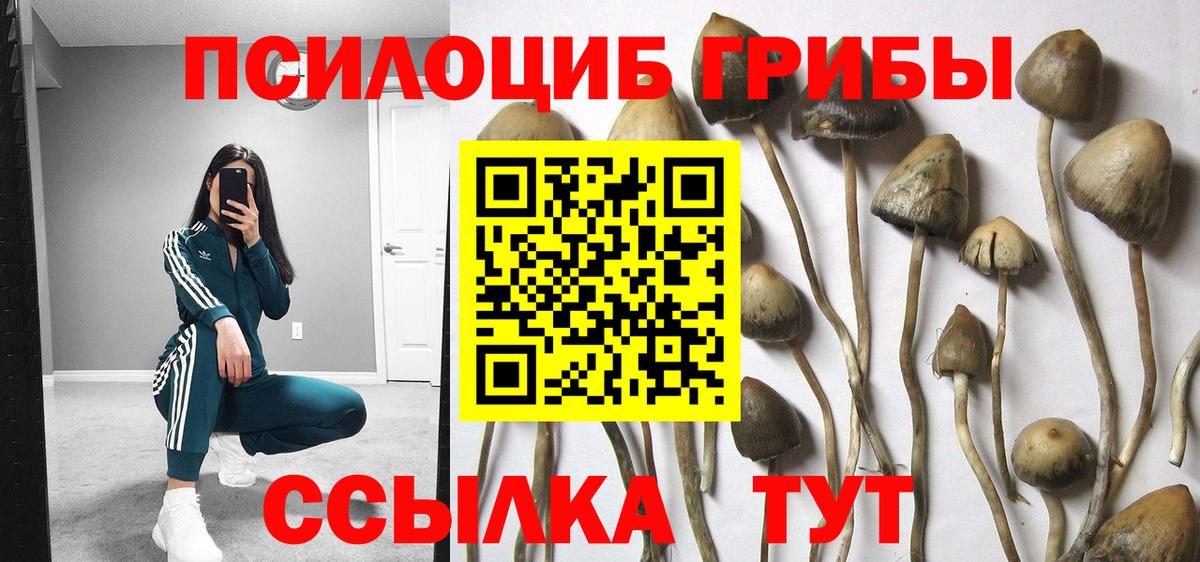 Псилоцибиновые грибы Magic Shrooms  Вход с VPN  Сорочинск  Галлюциногенные грибы Psilocybe 